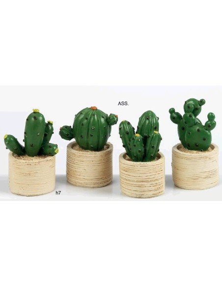 Cactus resina 